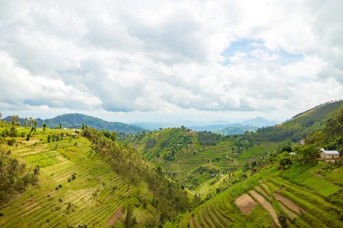 Rwanda - land of a thousand hills.